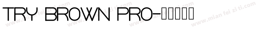 Try Brown Pro字体转换